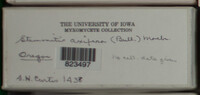 Image Associated With the Occurence